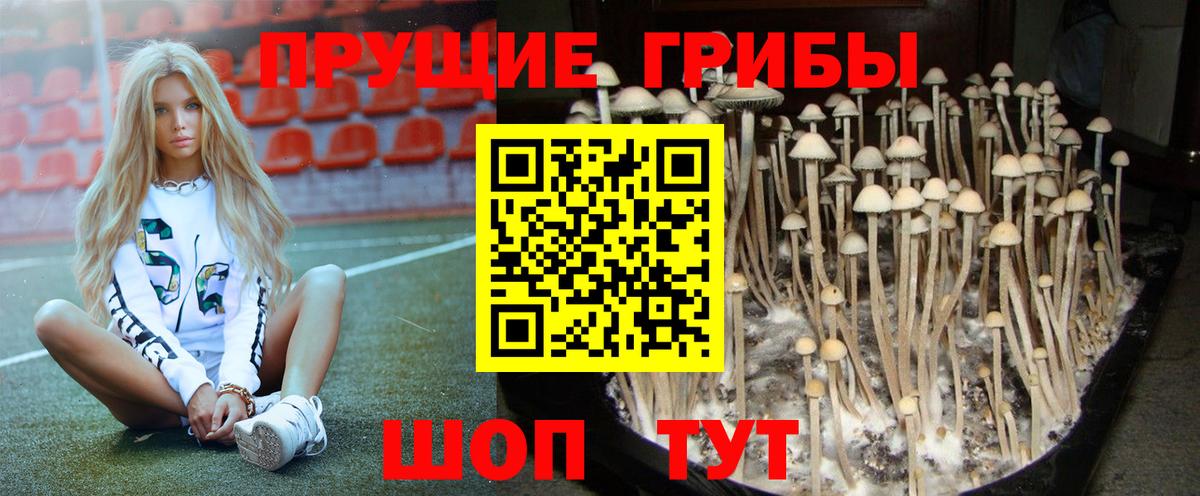 Галлюциногенные грибы мухоморы Брянск