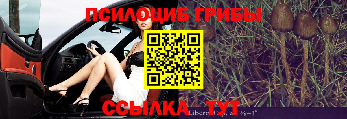 Брянск  Галлюциногенные грибы Cubensis  сколько стоит  Галлюциногенные грибы ЛСД  Вход с VPN 